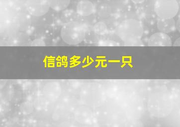 信鸽多少元一只