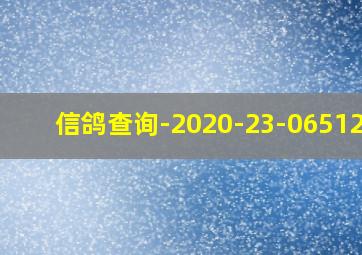 信鸽查询-2020-23-0651227