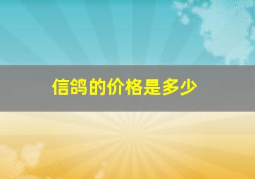 信鸽的价格是多少