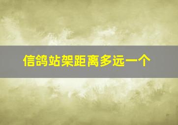 信鸽站架距离多远一个