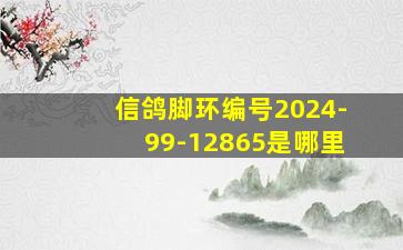 信鸽脚环编号2024-99-12865是哪里