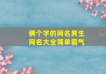 俩个字的网名男生网名大全简单霸气