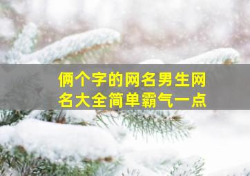 俩个字的网名男生网名大全简单霸气一点