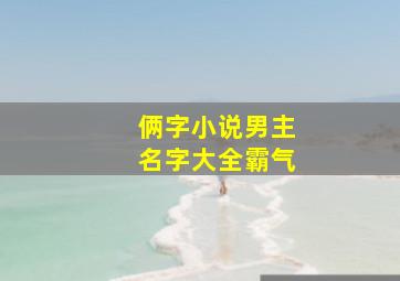 俩字小说男主名字大全霸气