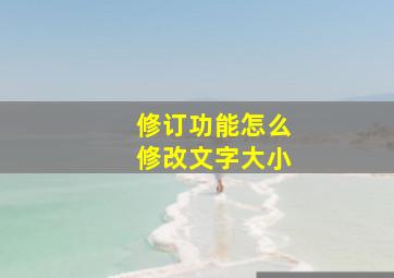 修订功能怎么修改文字大小