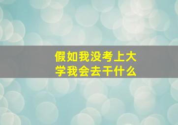 假如我没考上大学我会去干什么