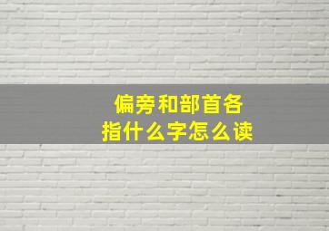 偏旁和部首各指什么字怎么读