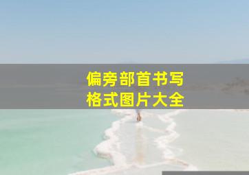 偏旁部首书写格式图片大全