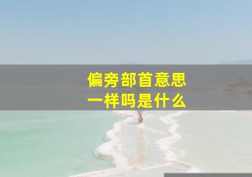 偏旁部首意思一样吗是什么