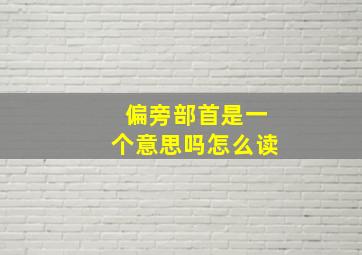 偏旁部首是一个意思吗怎么读