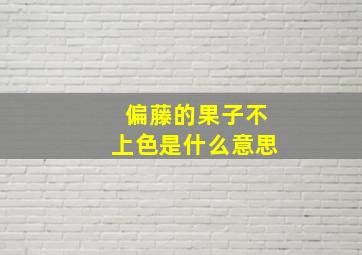 偏藤的果子不上色是什么意思