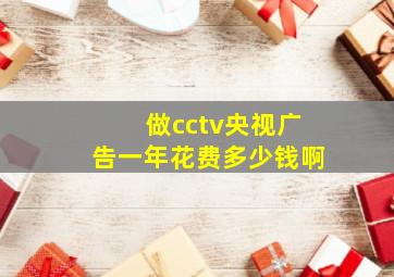 做cctv央视广告一年花费多少钱啊