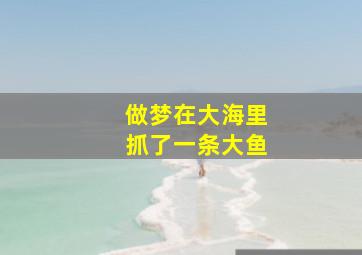 做梦在大海里抓了一条大鱼