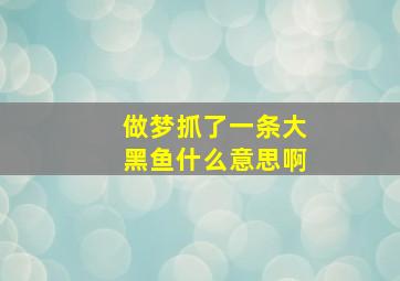 做梦抓了一条大黑鱼什么意思啊