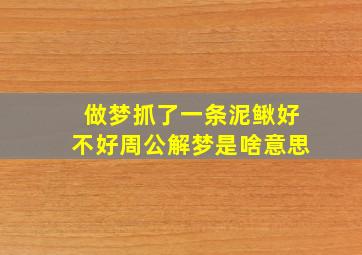 做梦抓了一条泥鳅好不好周公解梦是啥意思