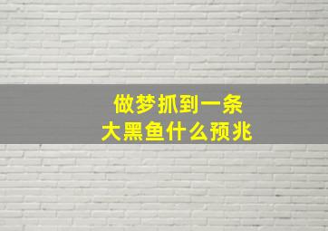 做梦抓到一条大黑鱼什么预兆