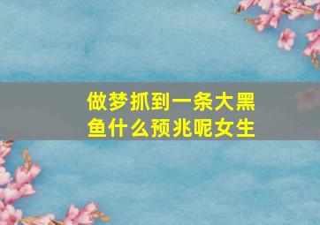 做梦抓到一条大黑鱼什么预兆呢女生