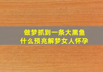 做梦抓到一条大黑鱼什么预兆解梦女人怀孕