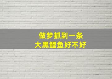 做梦抓到一条大黑鲤鱼好不好