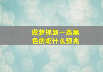 做梦抓到一条黑色的蛇什么预兆