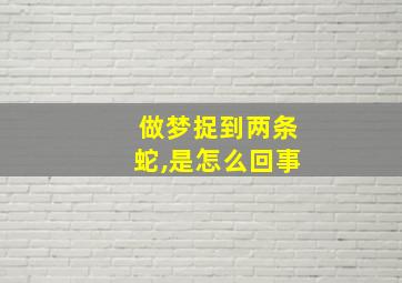 做梦捉到两条蛇,是怎么回事