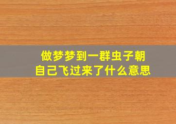 做梦梦到一群虫子朝自己飞过来了什么意思