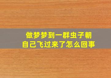 做梦梦到一群虫子朝自己飞过来了怎么回事