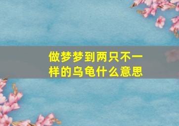 做梦梦到两只不一样的乌龟什么意思