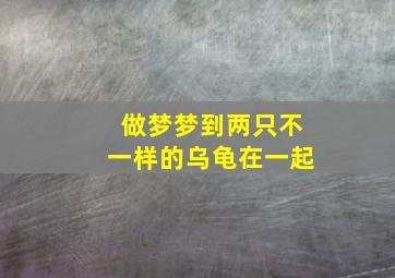 做梦梦到两只不一样的乌龟在一起