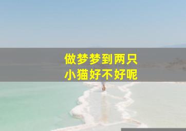 做梦梦到两只小猫好不好呢