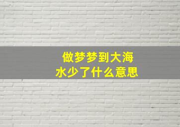 做梦梦到大海水少了什么意思