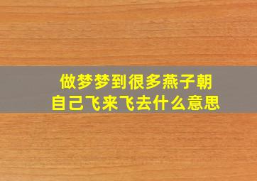 做梦梦到很多燕子朝自己飞来飞去什么意思