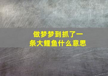 做梦梦到抓了一条大鲤鱼什么意思