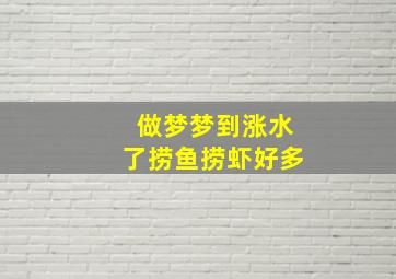 做梦梦到涨水了捞鱼捞虾好多