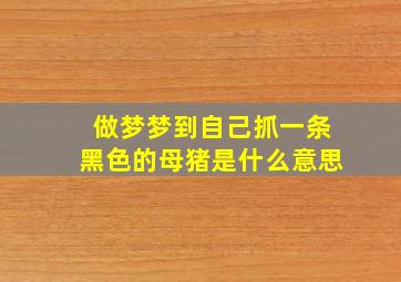 做梦梦到自己抓一条黑色的母猪是什么意思