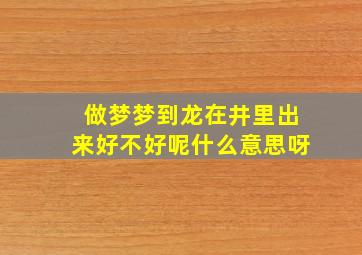 做梦梦到龙在井里出来好不好呢什么意思呀