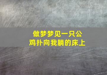 做梦梦见一只公鸡扑向我躺的床上