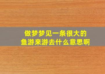 做梦梦见一条很大的鱼游来游去什么意思啊