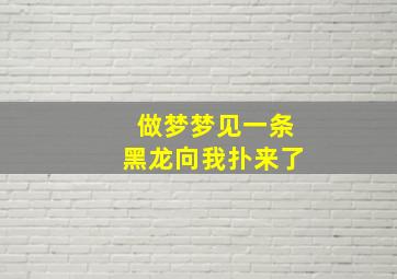 做梦梦见一条黑龙向我扑来了