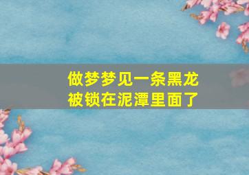 做梦梦见一条黑龙被锁在泥潭里面了