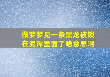 做梦梦见一条黑龙被锁在泥潭里面了啥意思啊