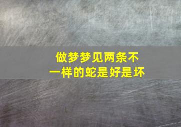 做梦梦见两条不一样的蛇是好是坏