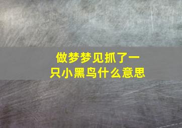 做梦梦见抓了一只小黑鸟什么意思