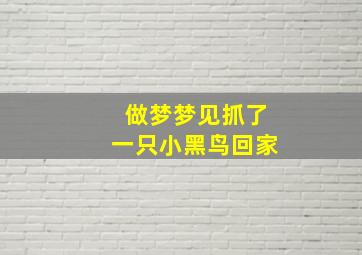 做梦梦见抓了一只小黑鸟回家