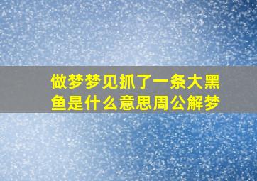 做梦梦见抓了一条大黑鱼是什么意思周公解梦