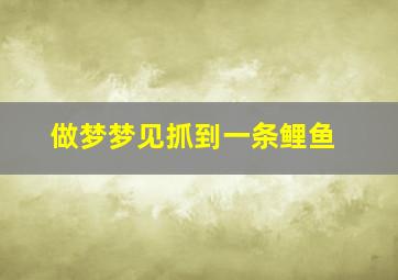 做梦梦见抓到一条鲤鱼