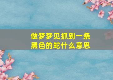 做梦梦见抓到一条黑色的蛇什么意思