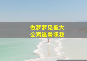 做梦梦见被大公鸡追着啄我