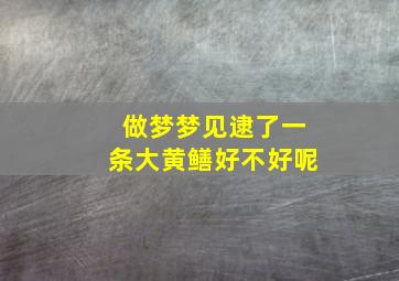 做梦梦见逮了一条大黄鳝好不好呢