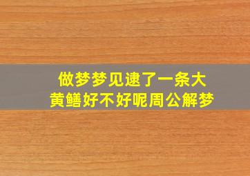 做梦梦见逮了一条大黄鳝好不好呢周公解梦